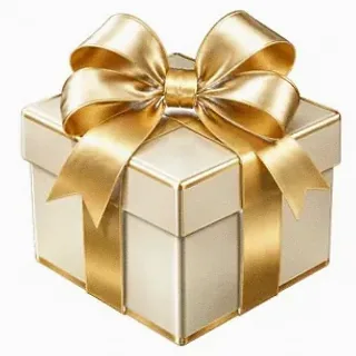 Gift box — Wild Fortune