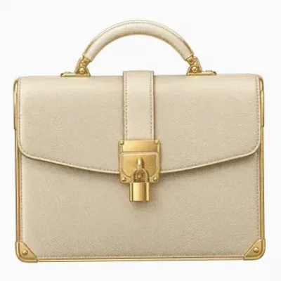 Locked leather briefcase — Wild Fortune