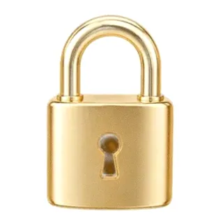 Metal padlock — Wild Fortune
