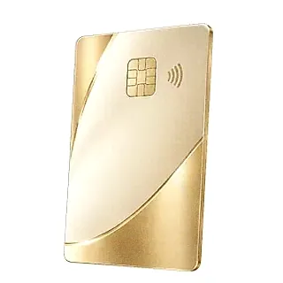 Contactless bank card — Wild Fortune